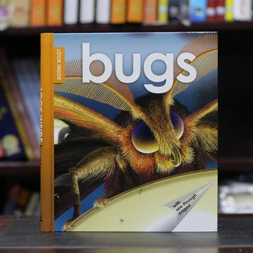 Bugs EnglishBookHouse