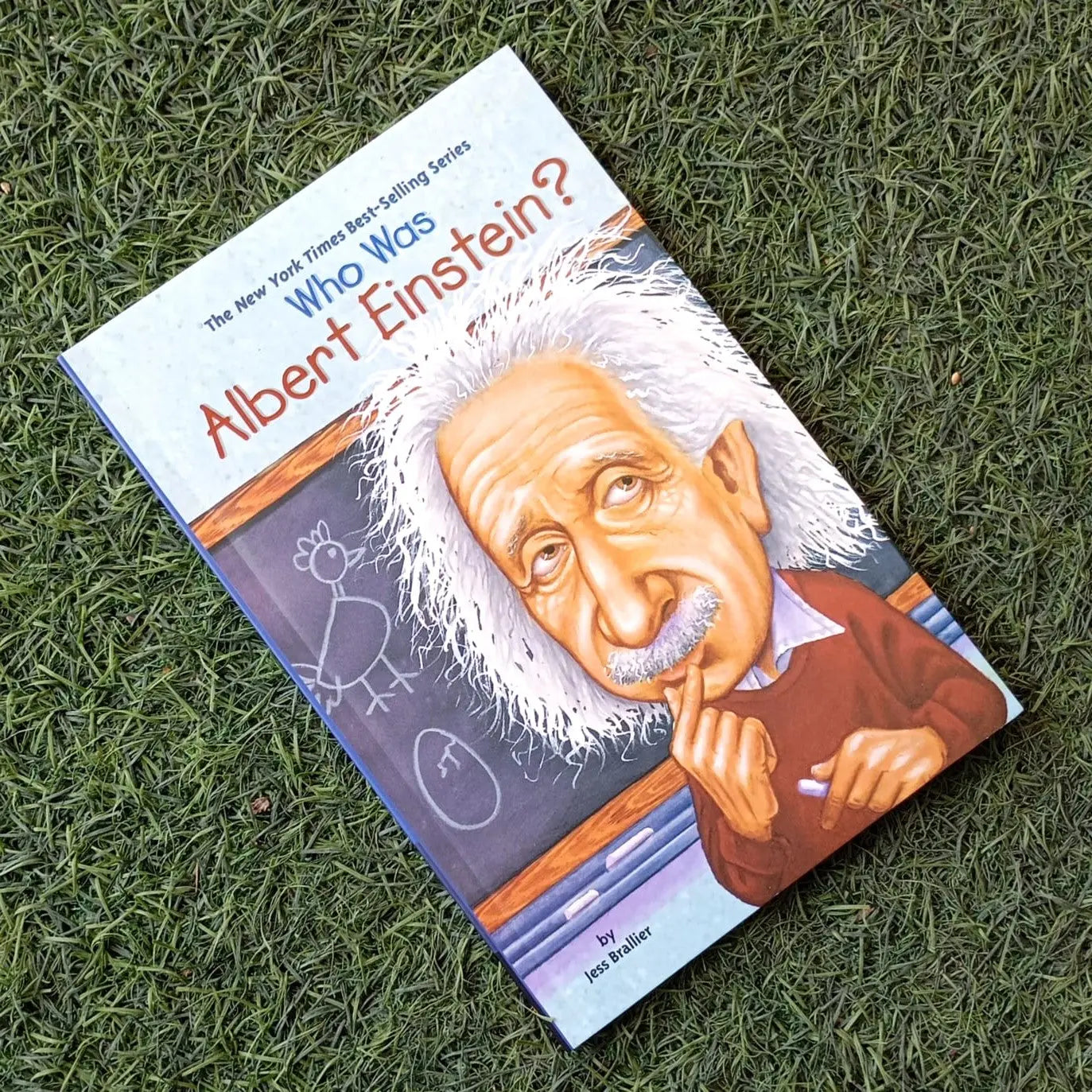 WHO WAS ALBERT EINSTEIN? English Book House