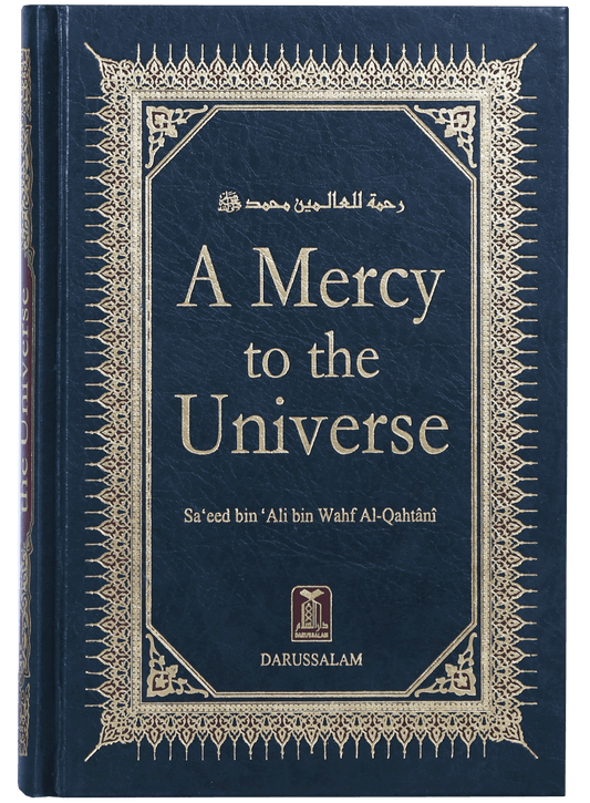 A MERCY TO THE UNIVERSE (ENG.)14*21